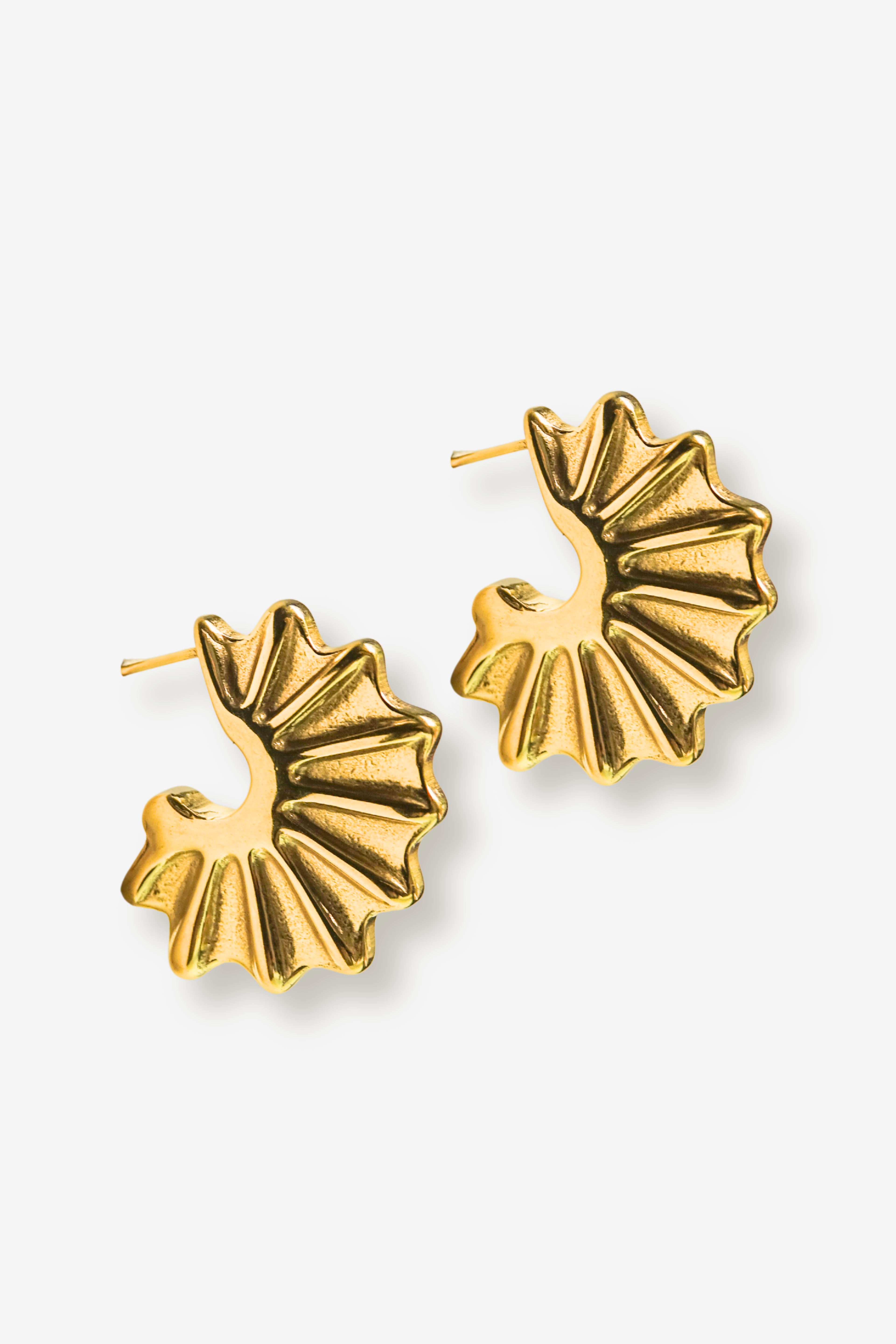 CRETA // Les boucles fossiles