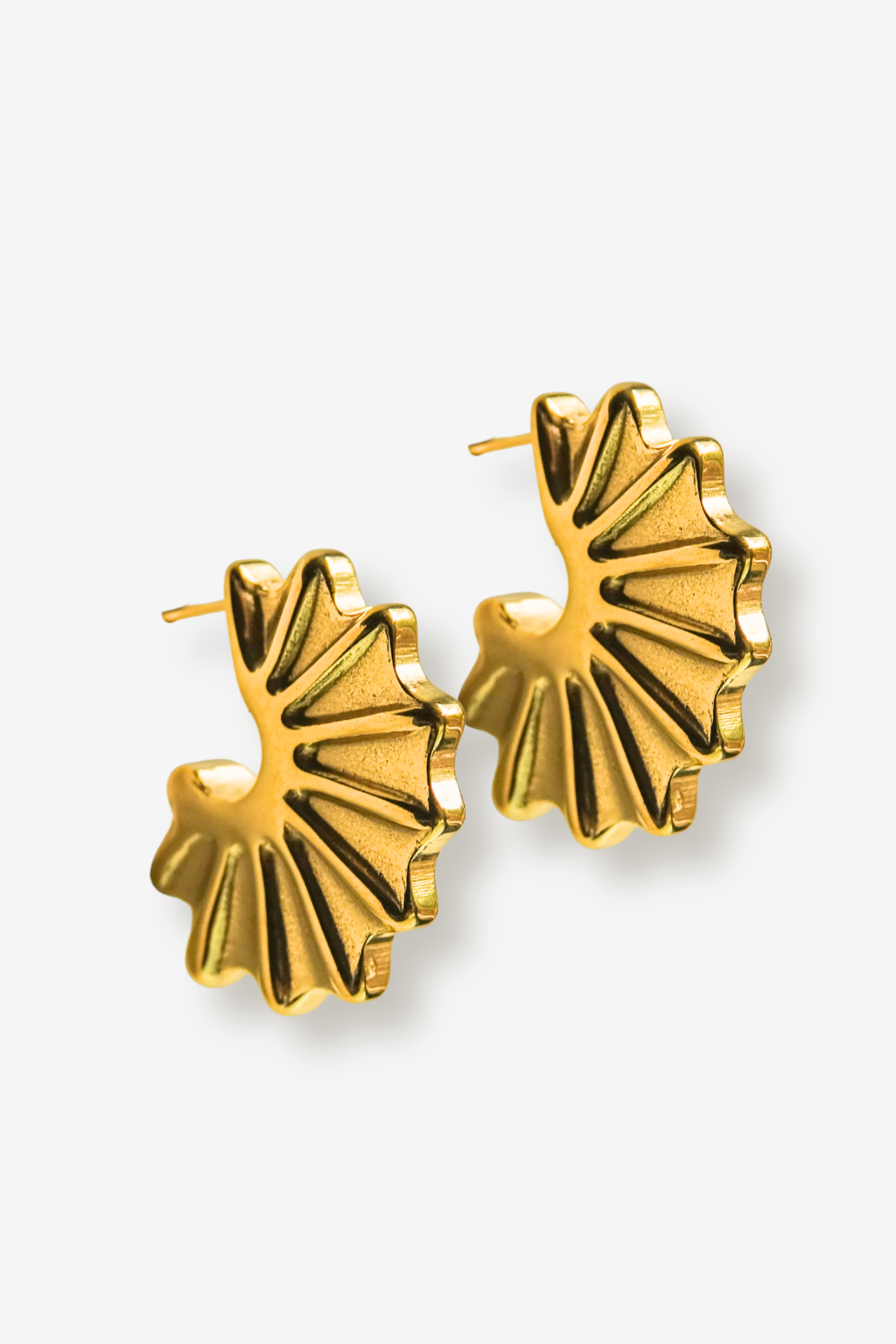 CRETA // Les boucles fossiles