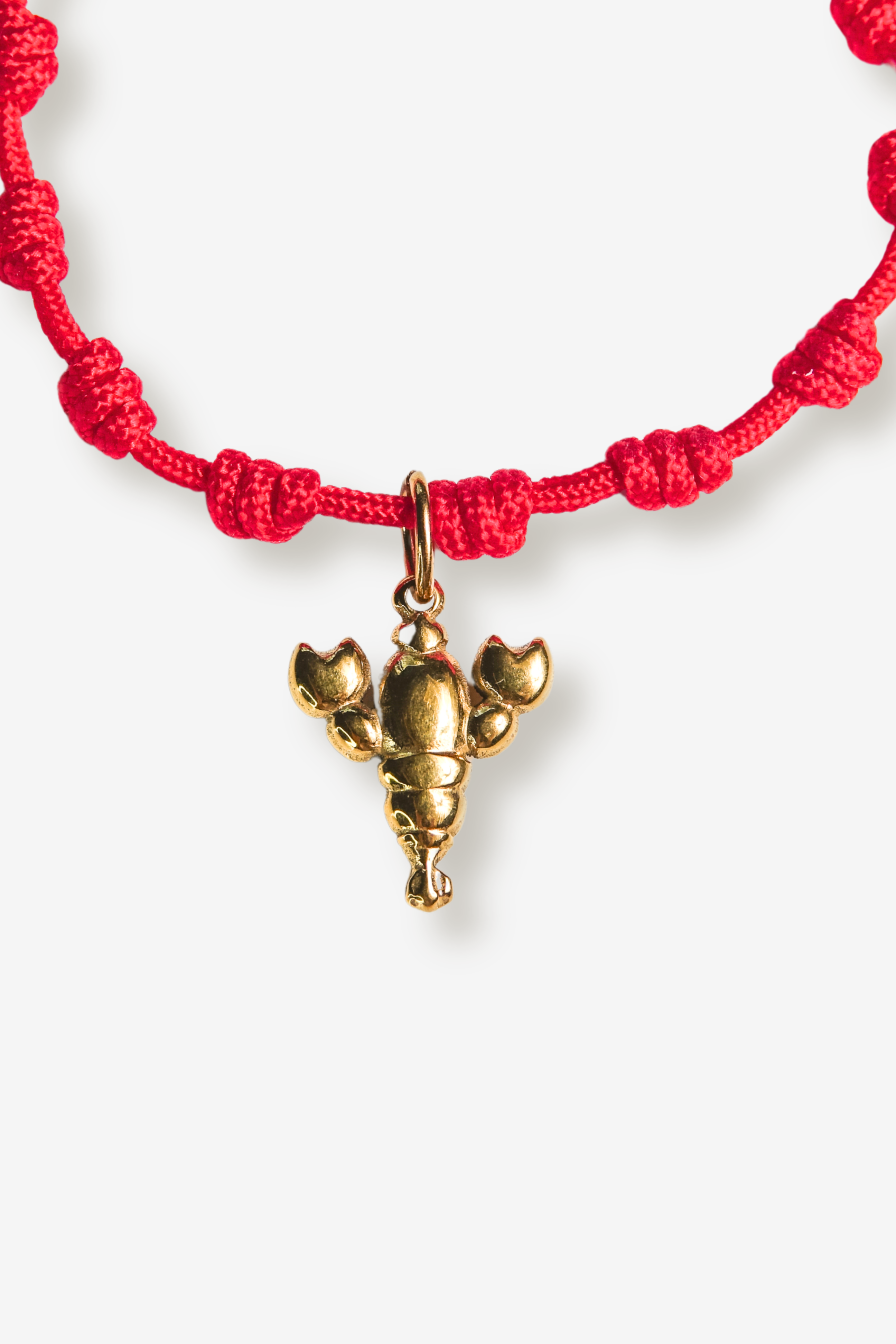 ARTUS // Le bracelet cordon Homard