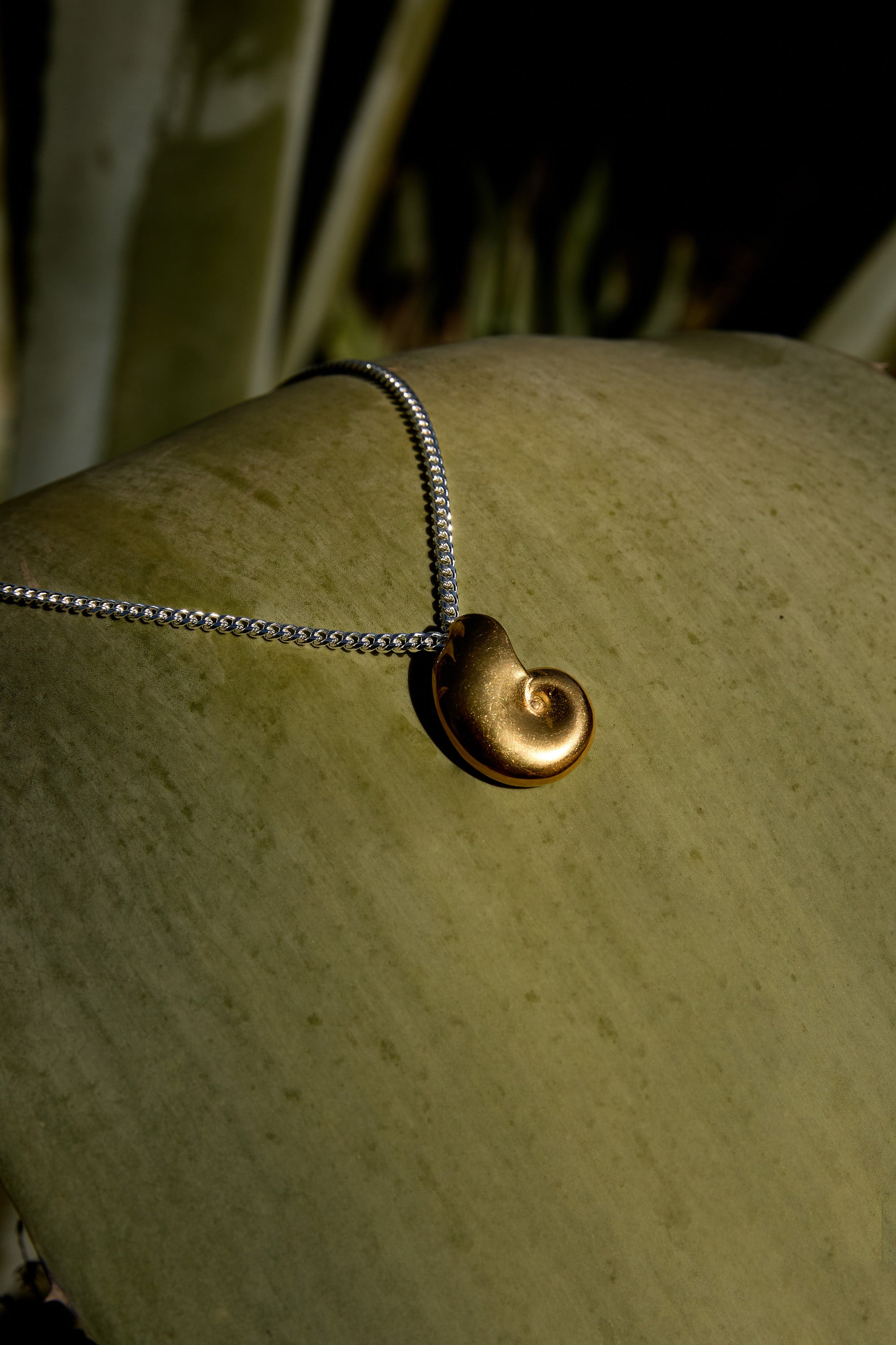 NAUTI // Le collier coquillage bicolore